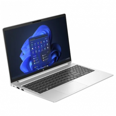 HP ProBook 450 G10 Core i5 13th Gen 15.6
