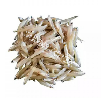 Frozen Keski Fish