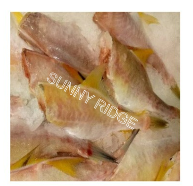 Leather Jacket $14.90/kg