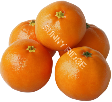 Mandarin $6.90/kg