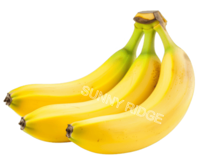 Banana $5.90/kg