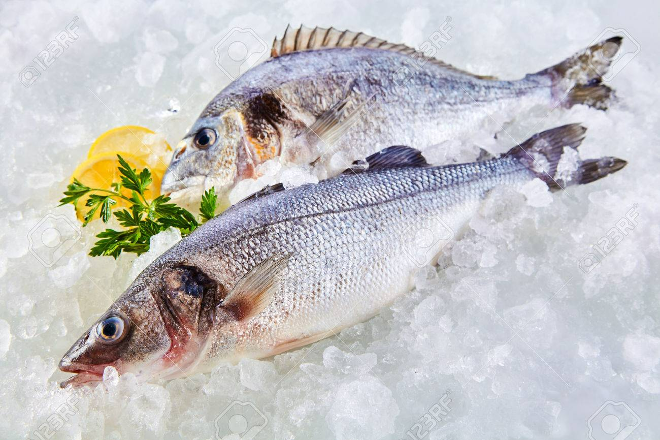 Frozen Fish