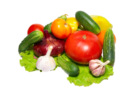 Fresh Vegetables
